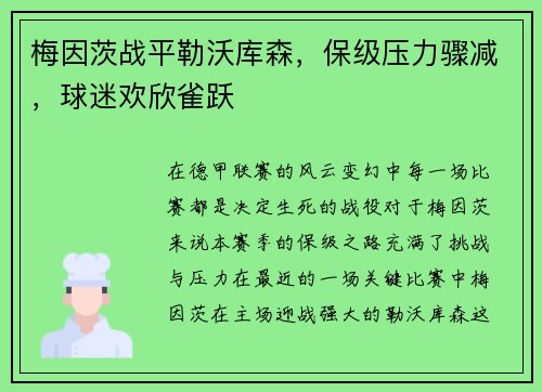 梅因茨战平勒沃库森，保级压力骤减，球迷欢欣雀跃