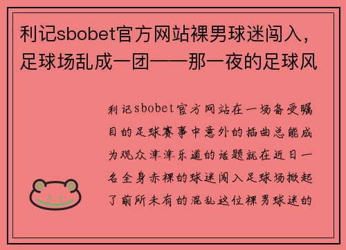 利记sbobet官方网站裸男球迷闯入，足球场乱成一团——那一夜的足球风暴
