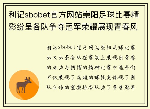 利记sbobet官方网站崇阳足球比赛精彩纷呈各队争夺冠军荣耀展现青春风采